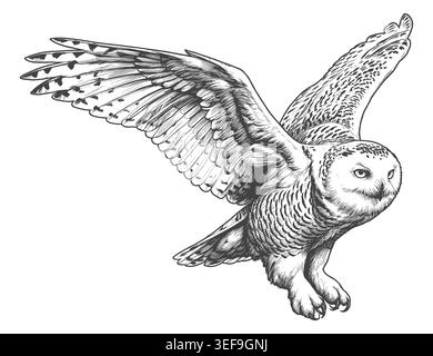 Dynamic hand-drawn illustration of a flying snowy owl in an antique sketch style. Excellent for sports mascots, nature apparel, and wildlife posters. Stock Vector