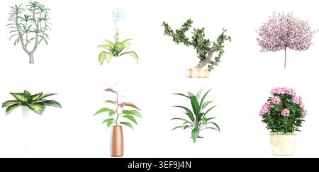 Blossoming pink sacura,common foliage, chrysanthemum daisies flowers plant,Dieffenbachia Cool in pot on transparent background, for illustration, digi Stock Vector
