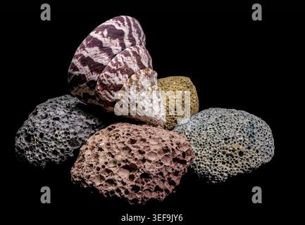 A beautiful striped seashell lies atop a collection of multi-colored volcanic pumice rocks. The high contrast black background emphasizes the unique t Stock Photo