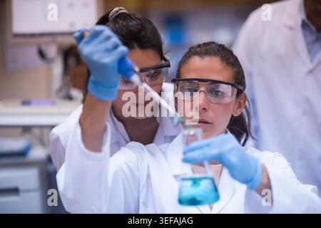 Middle Eastern and Arab young doctors and a medical technician collaborate in a clinical blood testing lab, wearing lab coats, safety goggles and gloves while carefully pipetting and analyzing samples. Stock Photo