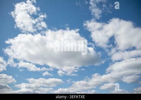 Bright blue sky filled with fluffy white clouds, varying in size and shape, creating a serene and tranquil scene. The clouds are well-defined against Stock Photo