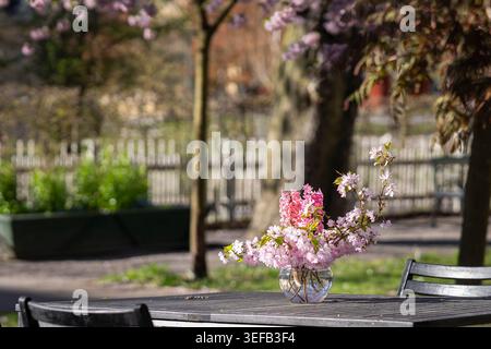 Spring flower arrangement with pink cherry blossoms and hyacinths on a sunlit garden table at Sinnenas Trädgård. Stock Photo