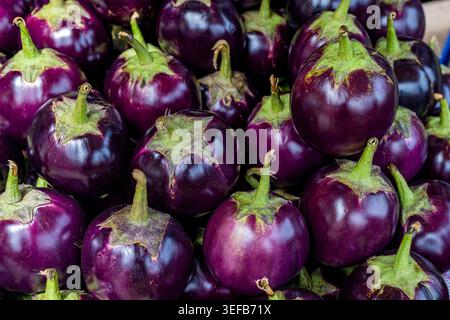 Fresh eggplants for sale at a vegetable market by the river in Dhaka, Bangladesh Stock Photo