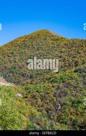 Mountain landscape in North Ossetia features lush greenery under a clear blue sky Stock Photo