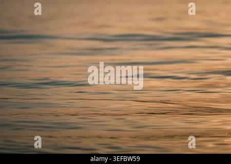 Golden water surface close-up. Sea ripple texture detailed macro shot with soft bokeh background. Pure liquid waves moving gently in warm sunset golden hour light sun reflection concept Stock Photo