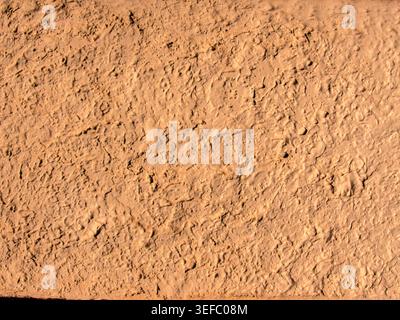 Rough plaster wall texture with a rustic finish in warm terracotta tones. Detailed surface of an exterior building wall under natural sunlight, showca Stock Photo