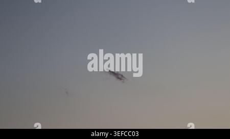 A faint silhouette of a bird in a dramatic pastel twilight sky with soft pink and grey dusk clouds. Stock Photo