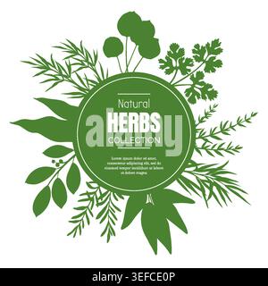 Green herbal emblem. Round badge with herb leaf silhouettes, natural plant for design packaging or card. Botanical cooking aromatic ingredient. Frame or border template. Minimal vector illustration Stock Vector