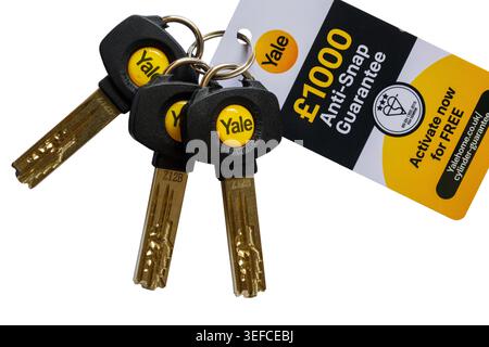 Yale keys The Yale Platinum 3 Star 10 Pin Set of 3 keys to suit the Yale Platinum Euro Profile Cylinder set on white background Stock Photo