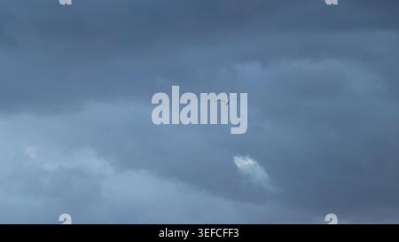 A single seagull soaring gracefully through a dense layer of dramatic dark storm clouds in a moody twilight sky. Stock Photo