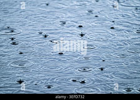 Raindrops bouncing off water, creating dense circular ripples on calm water surface at Ham Wall, Somerset Levels, UK in winter Stock Photo