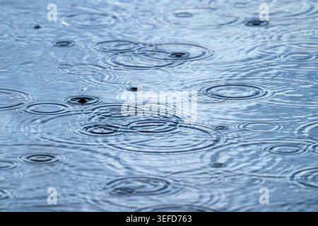 Clusters of raindrop ripples overlapping on water surface creating abstract pattern, Ham Wall, Somerset Levels, UK Stock Photo
