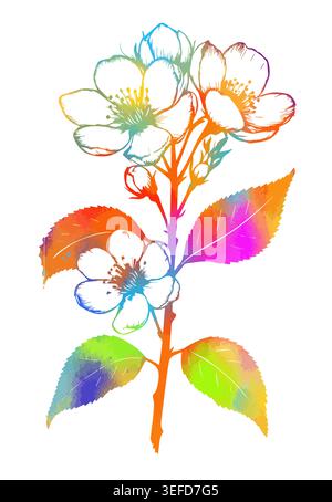 Cherry branches with flowers, colored sakura isolate on white background. Hand drawn. Not AI, vector illustration. Stock Vector