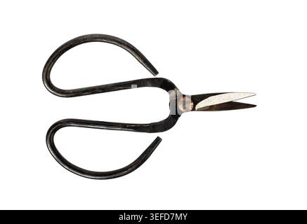 Old metal hand shears with curved spring handles isolated on white background. Vintage gardening tool for trimming plants, harvesting herbs, bonsai ca Stock Photo