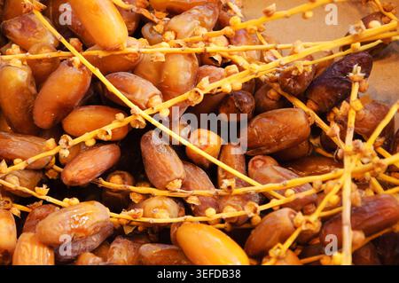 Organic dates on palm branches at a traditional market stall, autumn harvest healthy sweet food background, closeup and selective focus Stock Photo