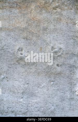 Weathered concrete texture features faint circular impressions on its gray stone surface. Stock Photo