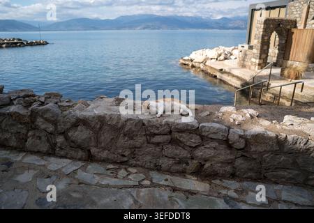 A ginger and white cat sleeps on a weathered stone wall overlooking the blue sea and distant mountains in Nafplio, Greece. Stock Photo