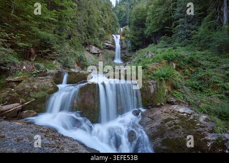 A small waterfall flows over rocks through a green woodland stream. Stock Photo