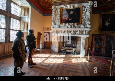 Two visitors admire a grand Renaissance fireplace and Catherine de Medici portrait under streaming sunlight inside the iconic Château de Chenonceau. Stock Photo