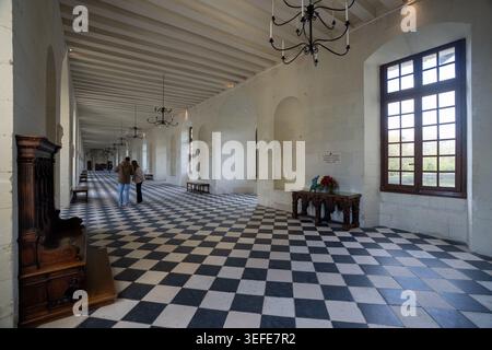 The interior of the grand gallery within the Château de Chenonceau in the Loire Valley, France Stock Photo