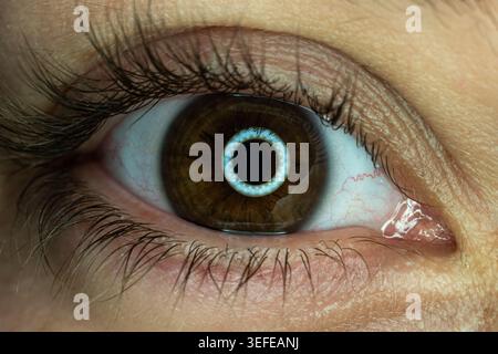 Human eye reflecting LED ring light technology Stock Photo