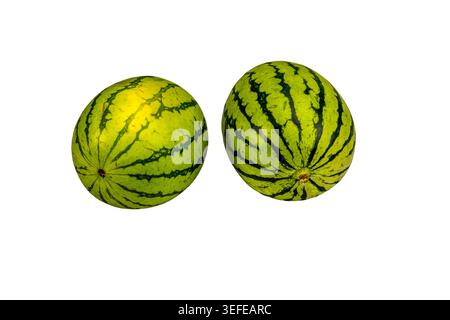 Close up view of two whole watermelons isolated on white background. Sweden. Stock Photo