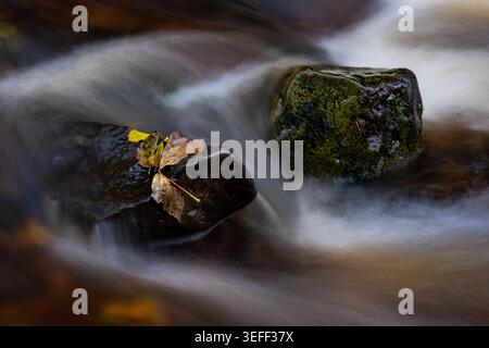 Autumn leaves resting on moss covered rocks amid silky swirling stream water Stock Photo