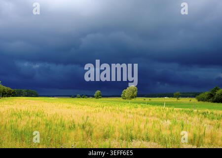 Dark storm clouds over sunlit meadows and fields, Letzlingen, Saxony-Anhalt, Germany Stock Photo