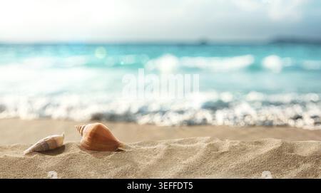 Seashells resting on golden sand near sparkling turquoise ocean waves with soft focus background and bright summer light. Stock Photo