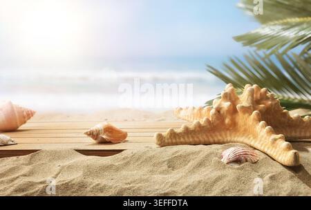 Starfish and seashells resting on sandy beach with tropical palm leaves and soft ocean background under warm bright sunlight. Stock Photo