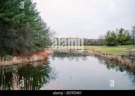 Quiet pond surrounded by nature. Calm lake reflecting peaceful natural surroundings. Tranquil waters mirror serene landscape with distant homes Stock Photo