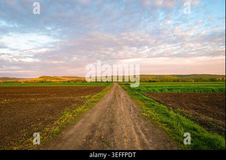 Dirt road through countryside fields at sunset with open sky and rolling horizon landscape Stock Photo
