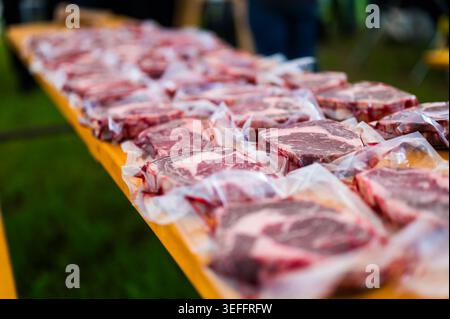 Rows of raw, marbled ribeye steaks laid out on butcher paper during a Steak Cookoff Association (SCA) BBQ competition, showcasing premium meat quality Stock Photo