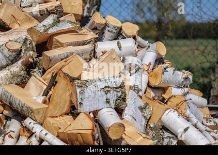 Pile of chopped birch logs with white bark for winter heating Stock Photo