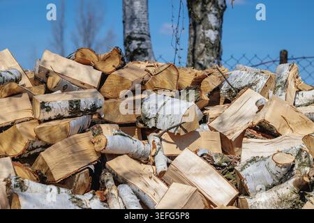Pile of chopped birch logs with white bark for winter heating Stock Photo