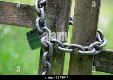 padlock and chain on farm gate, norfolk, england Stock Photo