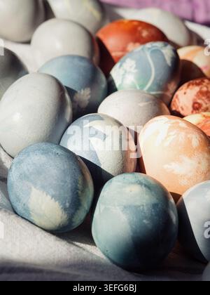 Dyed Easter Eggs with Floral Imprints on Sunlit White Linen Stock Photo