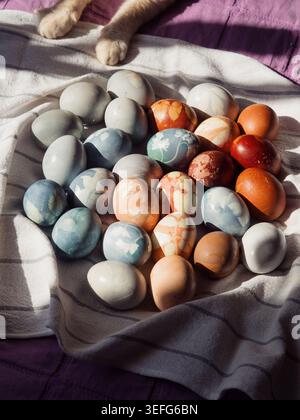 Dyed Easter Eggs with Floral Imprints and Cat Paws on Sunlit Linen Stock Photo