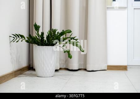 Green houseplant in a decorative ceramic container situated on a bright floor, creating a cozy and clean atmosphere for home or office interior design Stock Photo