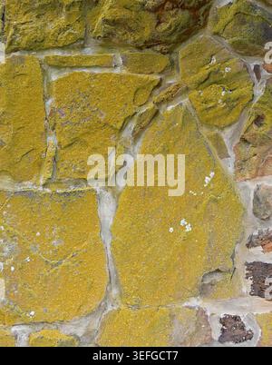 Close up of a multi stone and mortar wall with moss covering most of the stones, showing red brown and tan stones of various sizes and shapes Stock Photo