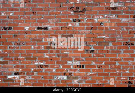 Reclaimed red brick wall surface with uneven gray mortar, chipped bricks, scattered black and white smudges across many bricks Stock Photo