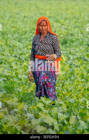 Female Farmer in field Stock Photo