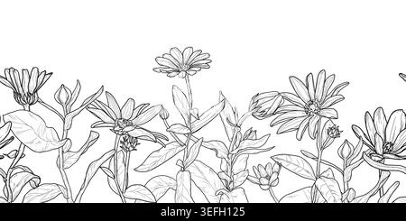 Spring flowers and twigs with leaves, seamless horizontal border. Vector illustration. The sketch of summer meadow flowers is hand-drawn, isolated on Stock Vector