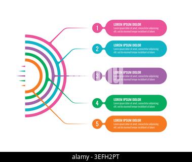half circle infographic template. information template with five options. business information template. Stock Vector