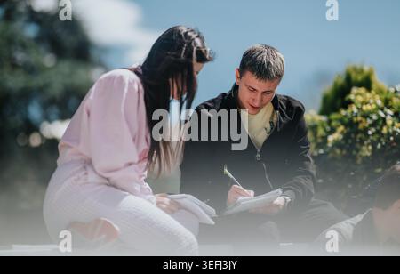 High school students studying together outdoors on a sunny day taking notes and collaborating Stock Photo