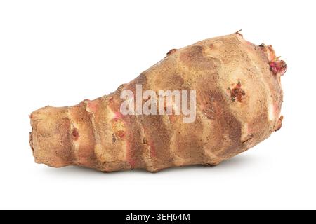 Jerusalem artichoke isolated on white background Stock Photo