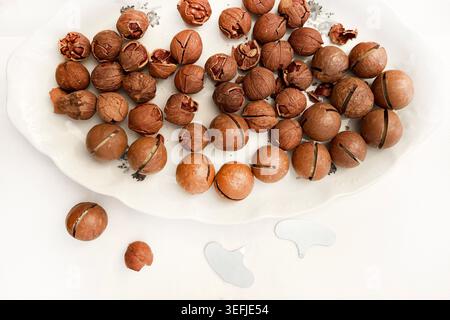 Pre-cracked macadamia nuts in shell background. Top view of exotic nuts texture ready to open. Stock Photo