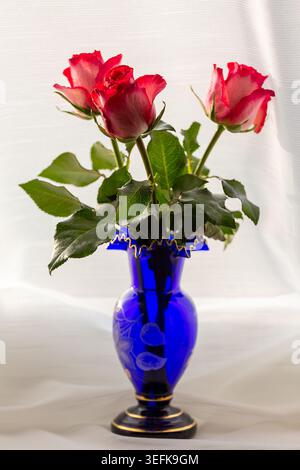 A beautiful bouquet of pink roses in a blue glass vase on a bright background. Stock Photo
