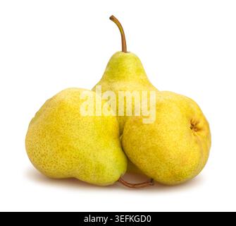 pear path isolated on white Stock Photo