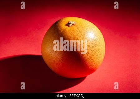 one grapefruit on red background Stock Photo